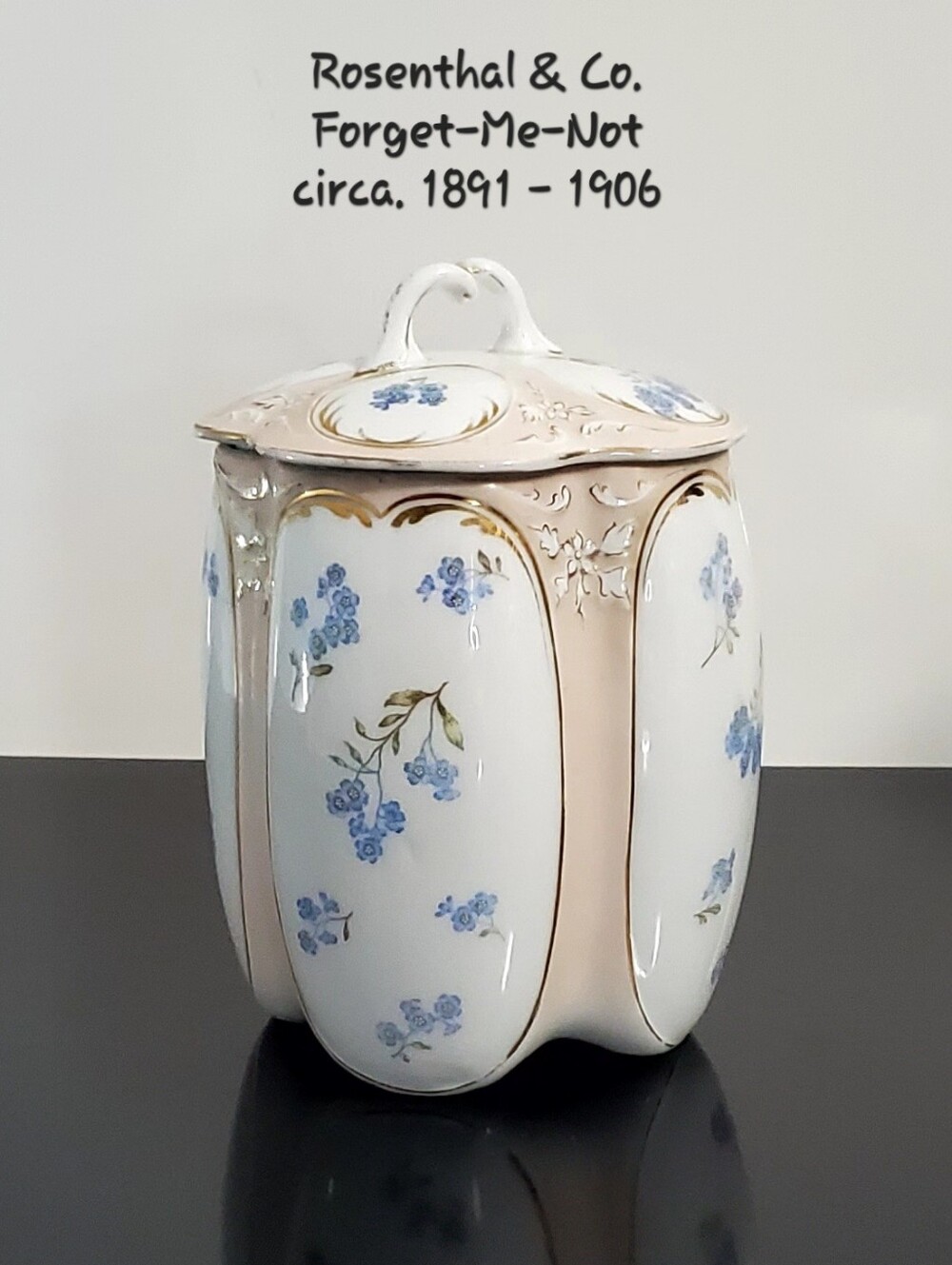 Antique Rosenthal & Co. Forget-Me-Not Biscuit Cracker Porcelain Jar & Lid